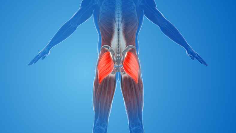 Gluteal tendinitis hip pain treatment Lansing MI