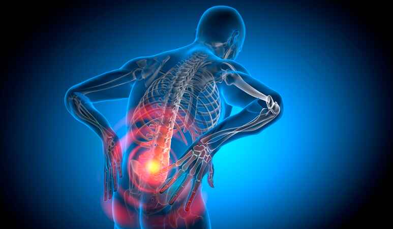 Patient receiving chiropractic adjustment for low back pain relief in Lansing MI